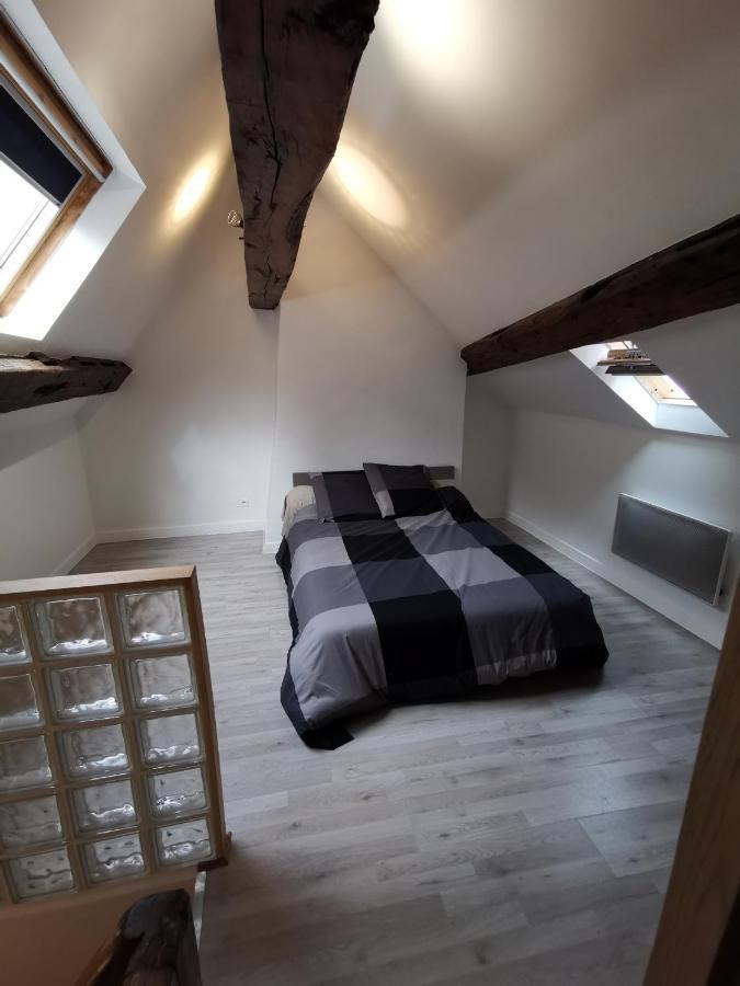 אורליאן Appartement Hyper Centre Au Bord De Loire מראה חיצוני תמונה