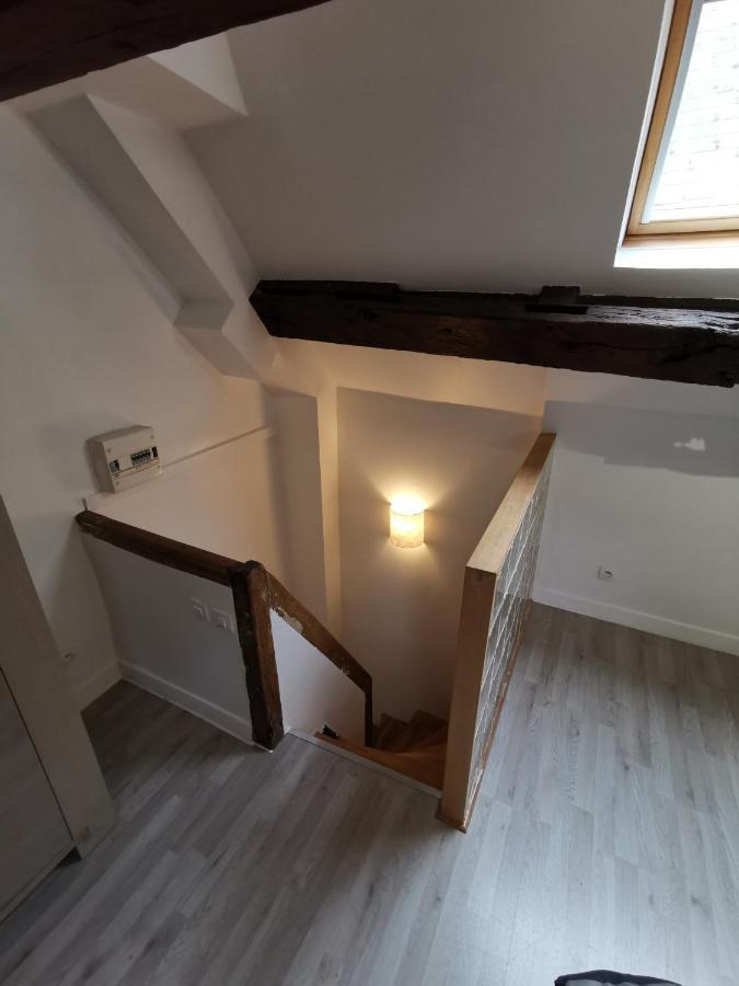 אורליאן Appartement Hyper Centre Au Bord De Loire מראה חיצוני תמונה