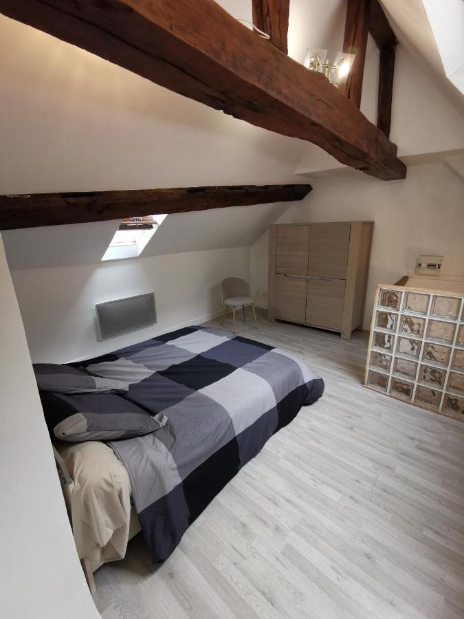 אורליאן Appartement Hyper Centre Au Bord De Loire מראה חיצוני תמונה